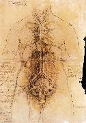 LEONARDO da Vinci The organs of the woman France oil painting artist